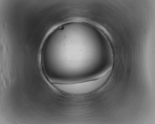 X0000116141424200911231302