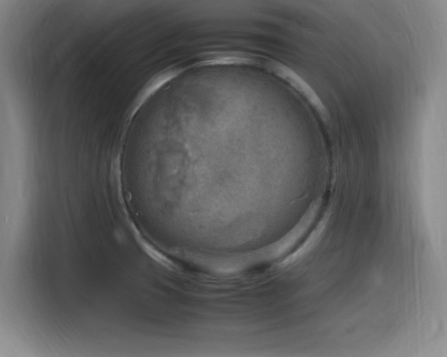 X0000116141425200911231302