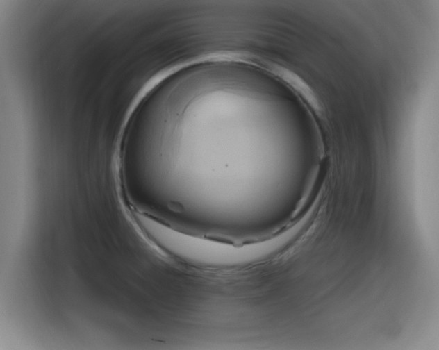 X0000116141428200911231302