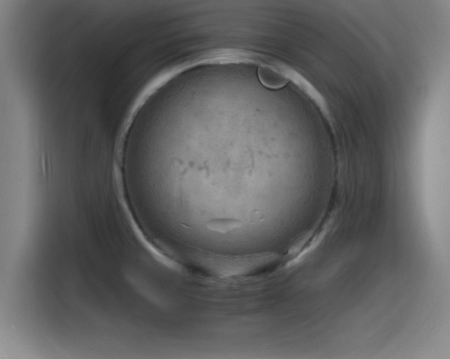 X0000116141429200911231302