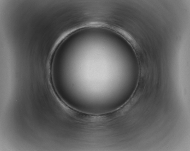 X0000116141430200911231302