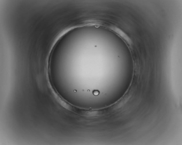 X0000116141431200911231302