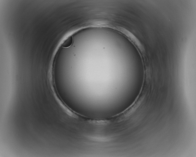 X0000116141432200911231302