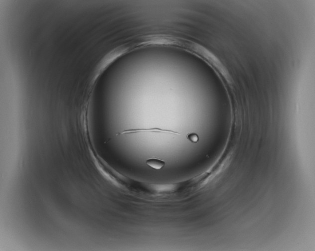 X0000116141433200911231302