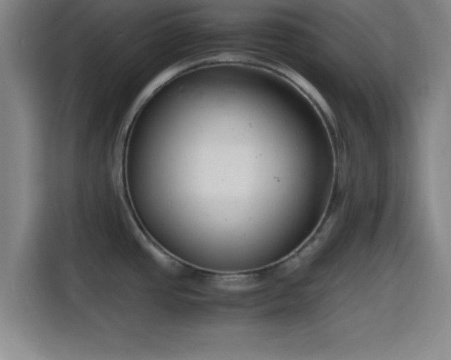 X0000116141437200911231302