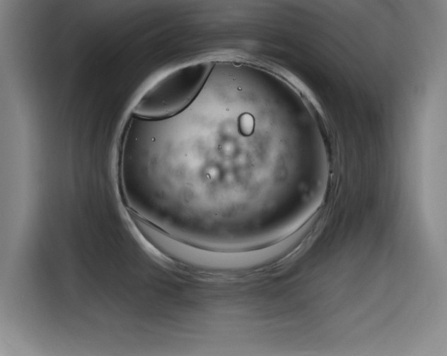 X0000116141438200911231302
