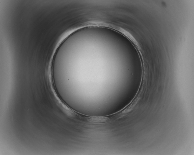 X0000116141440200911231302