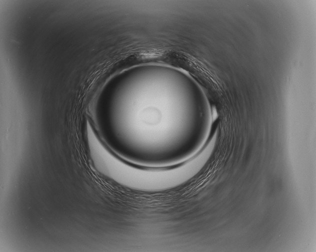 X0000116141441200911231301