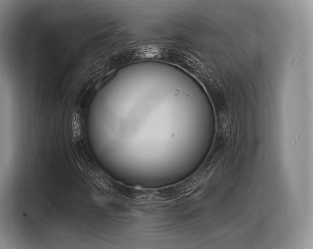 X0000116141442200911231301