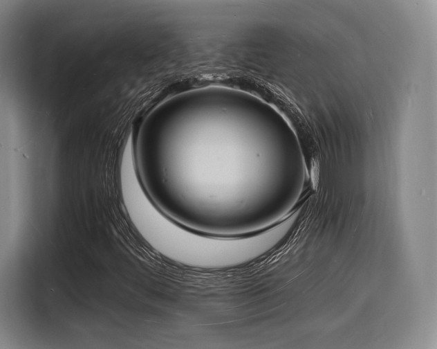 X0000116141444200911231301