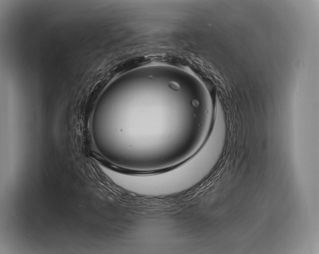 X0000116141445200911231301