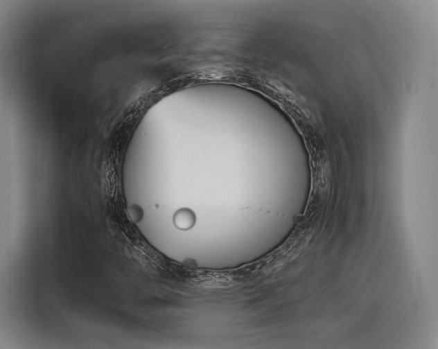 X0000116141446200911231301