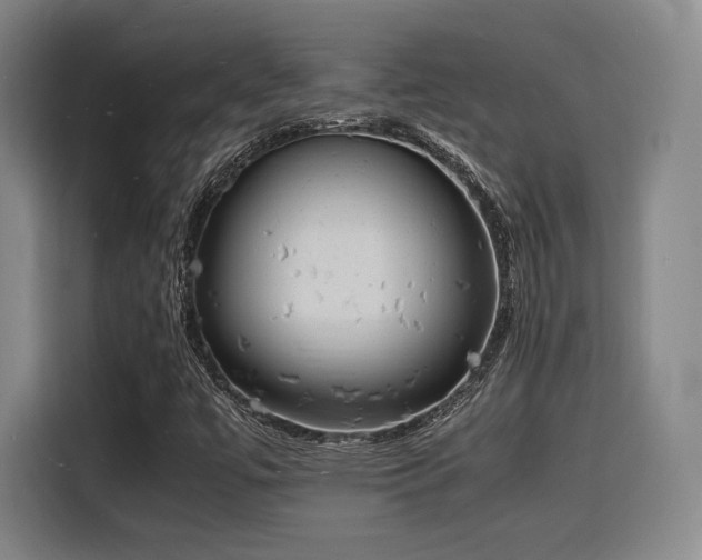 X0000116141447200911231301