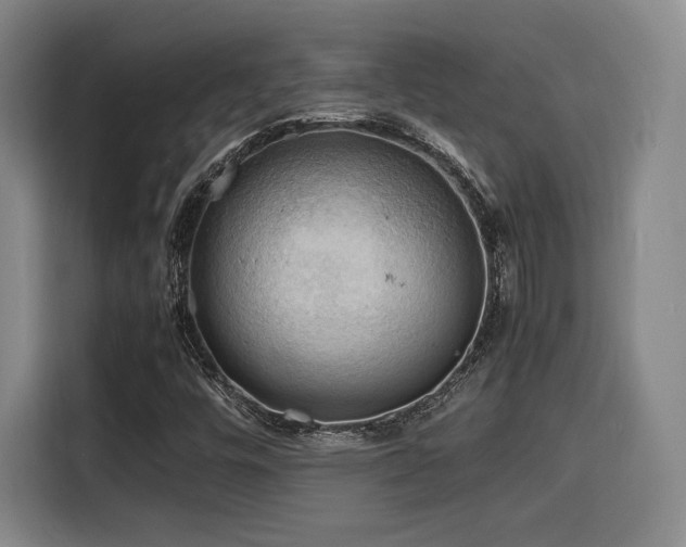 X0000116141448200911231301