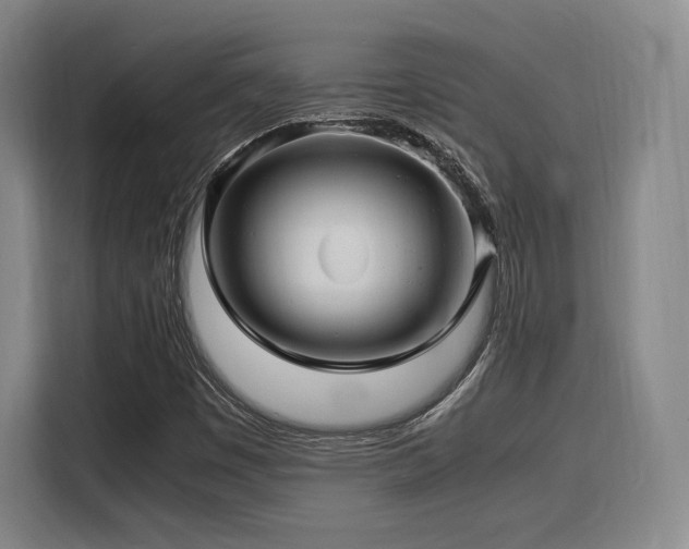 X0000116141449200911231301