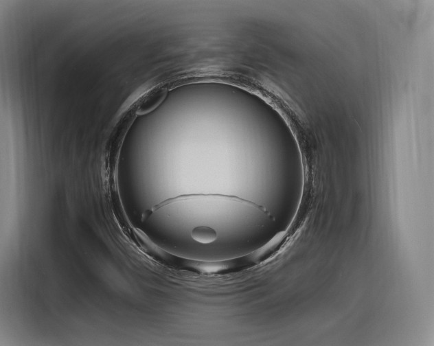 X0000116141450200911231301
