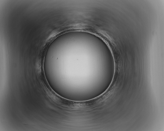 X0000116141451200911231301