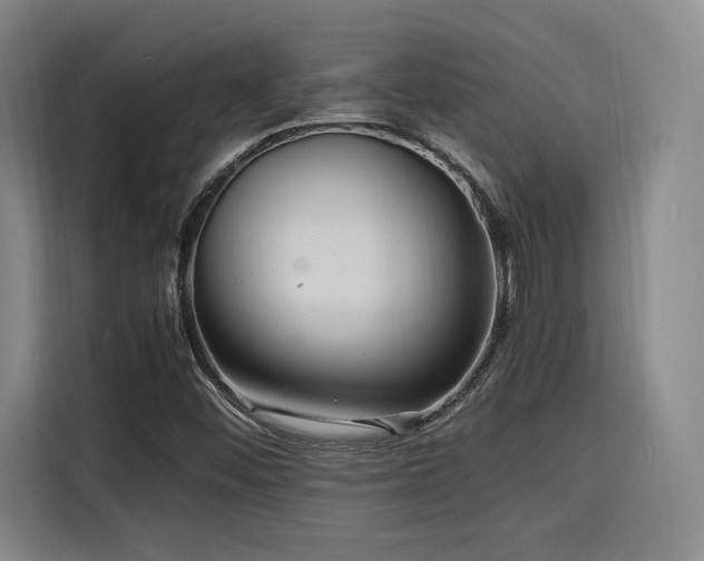 X0000116141452200911231301