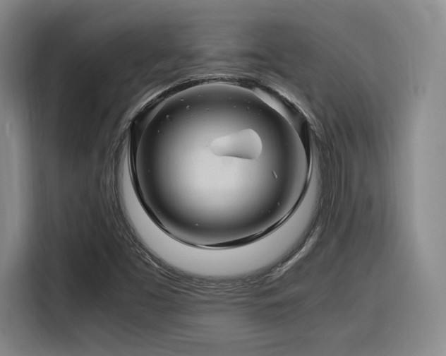 X0000116141453200911231301