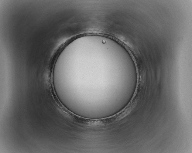 X0000116141454200911231301