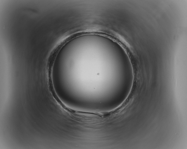 X0000116141456200911231301