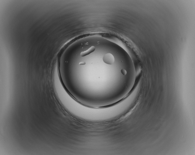 X0000116141457200911231301