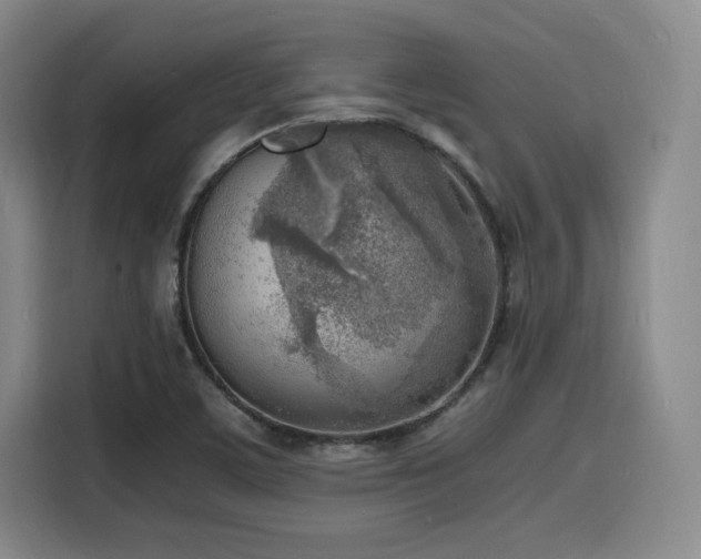 X0000116141459200911231301