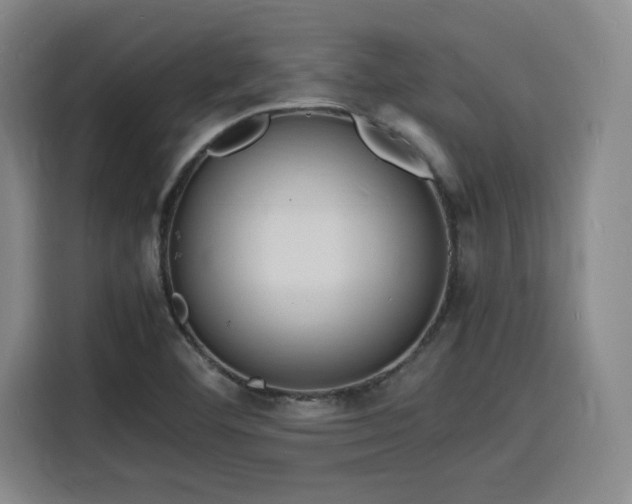 X0000116141460200911231301