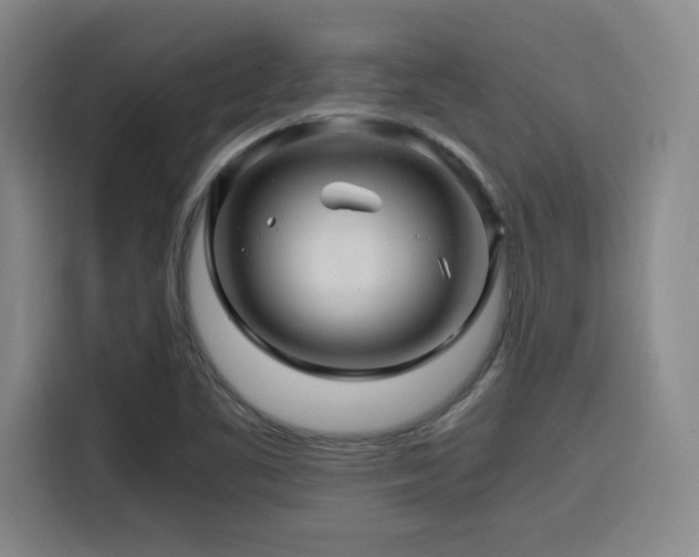 X0000116141461200911231301