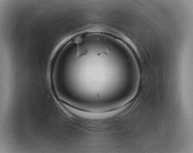X0000116141464200911231301