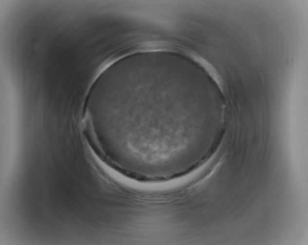 X0000116141465200911231301