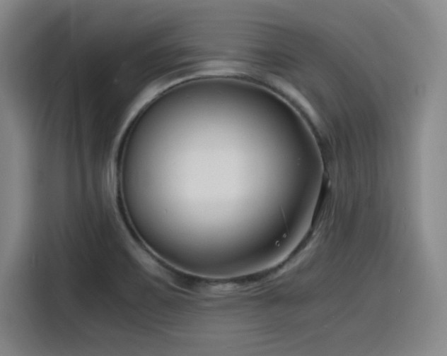 X0000116141467200911231301