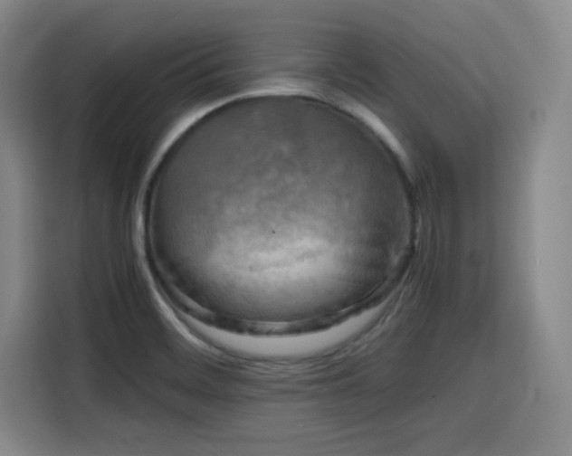 X0000116141468200911231301