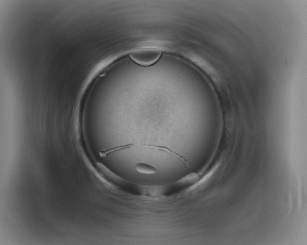 X0000116141469200911231301