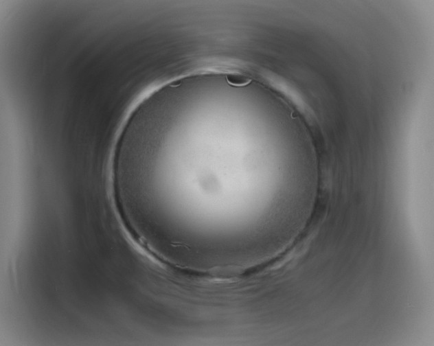 X0000116141471200911231301