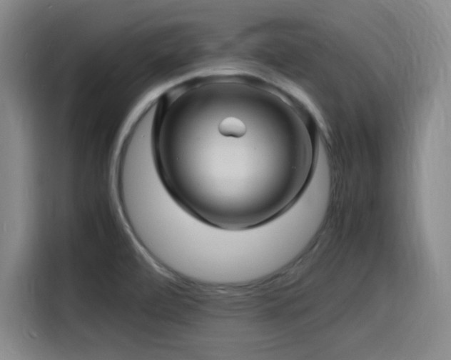 X0000116141472200911231301