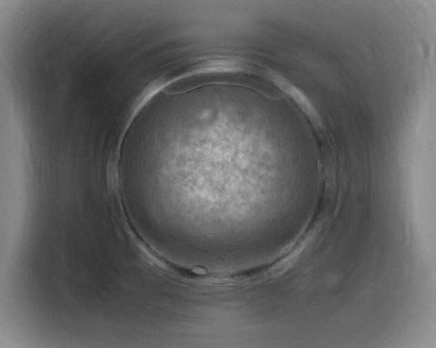 X0000116141473200911231301