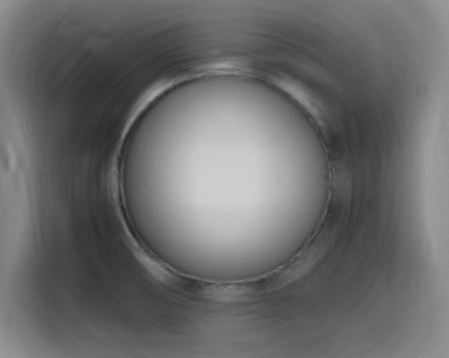 X0000116141474200911231301