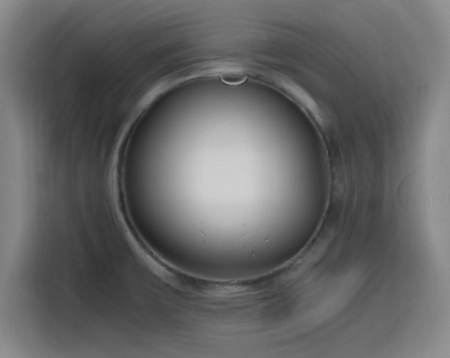 X0000116141475200911231301