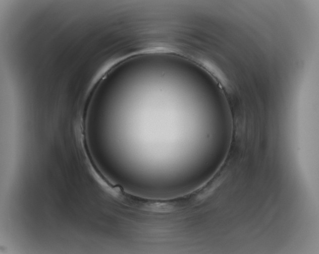 X0000116141476200911231301