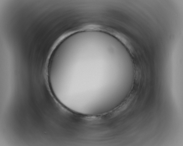 X0000116141478200911231301