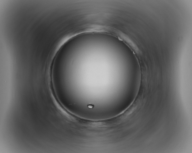 X0000116141479200911231301