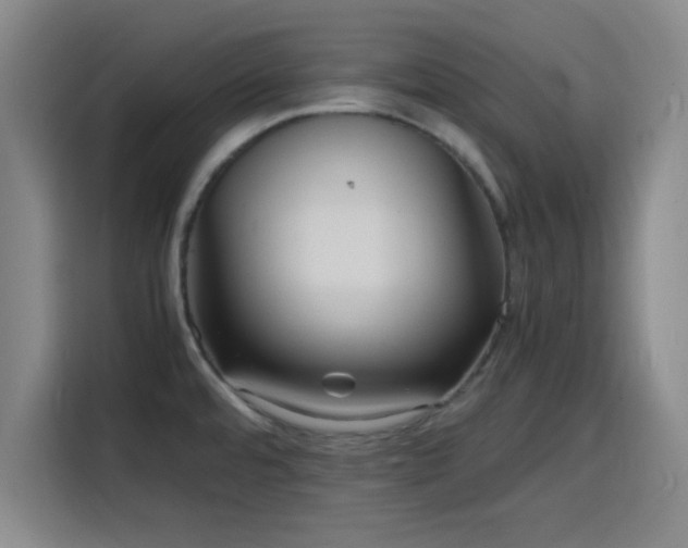 X0000116141480200911231301