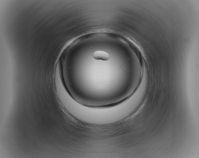 X0000116141481200911231301