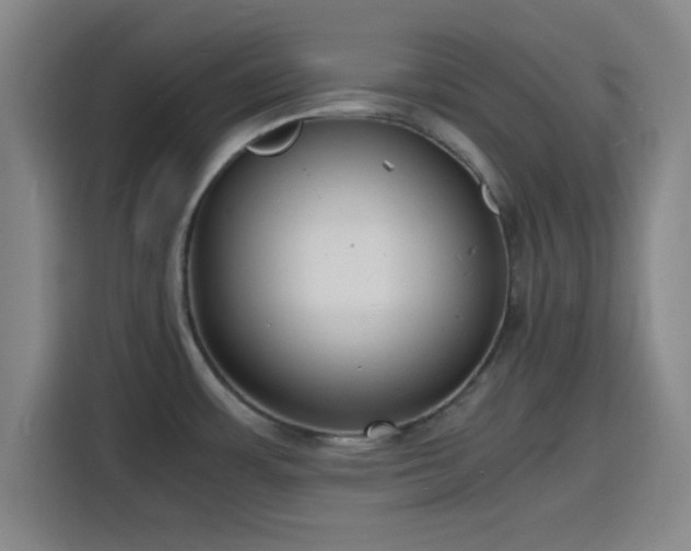 X0000116141483200911231301