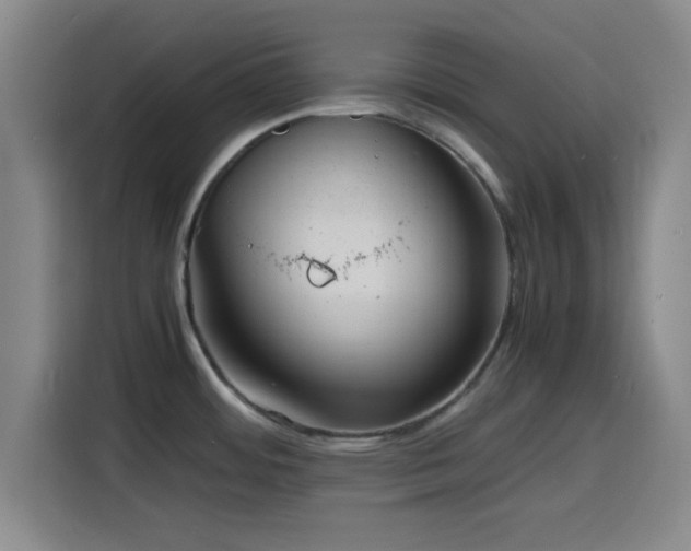 X0000116141484200911231301