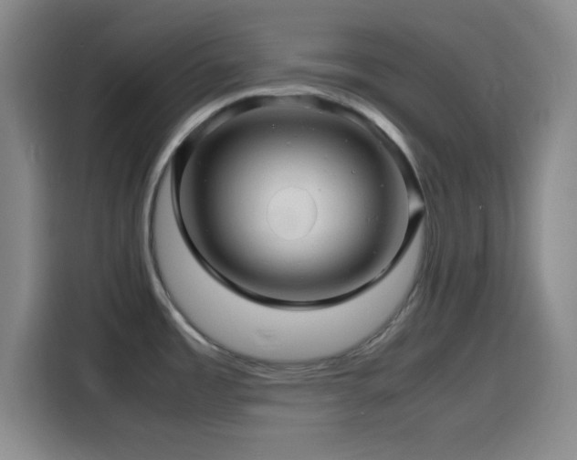 X0000116141485200911231301