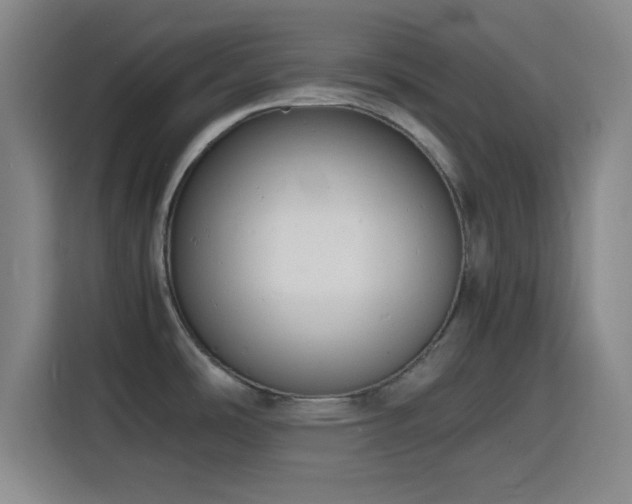 X0000116141486200911231301
