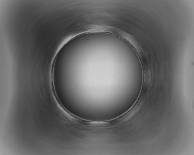 X0000116141487200911231301