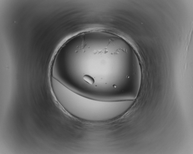 X0000116141488200911231301